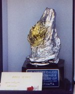 Rosa d’oro opera dello scultore rosetano Luciano Astolfi,premio Torneo Internazionale.
